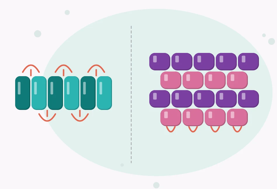 Illustration of a ladder stitch row of beads sitting side by side next to a brick stitch patch with offset rows