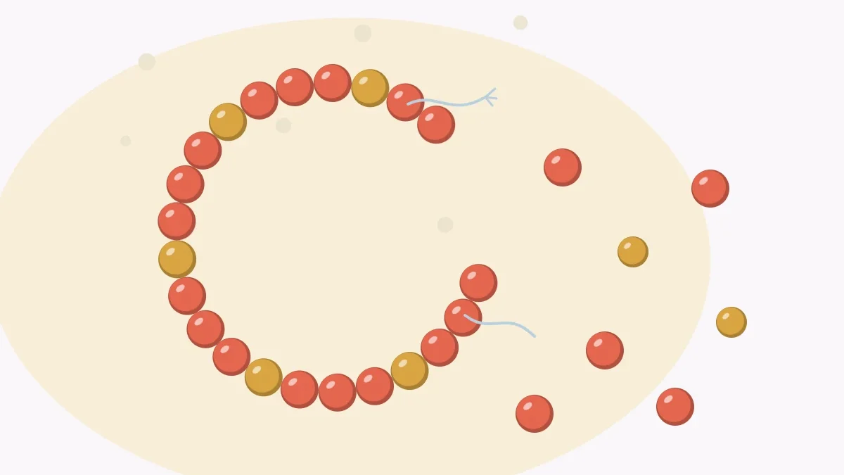 Illustration of a snapped bracelet with beads scattered off the end of the broken cord