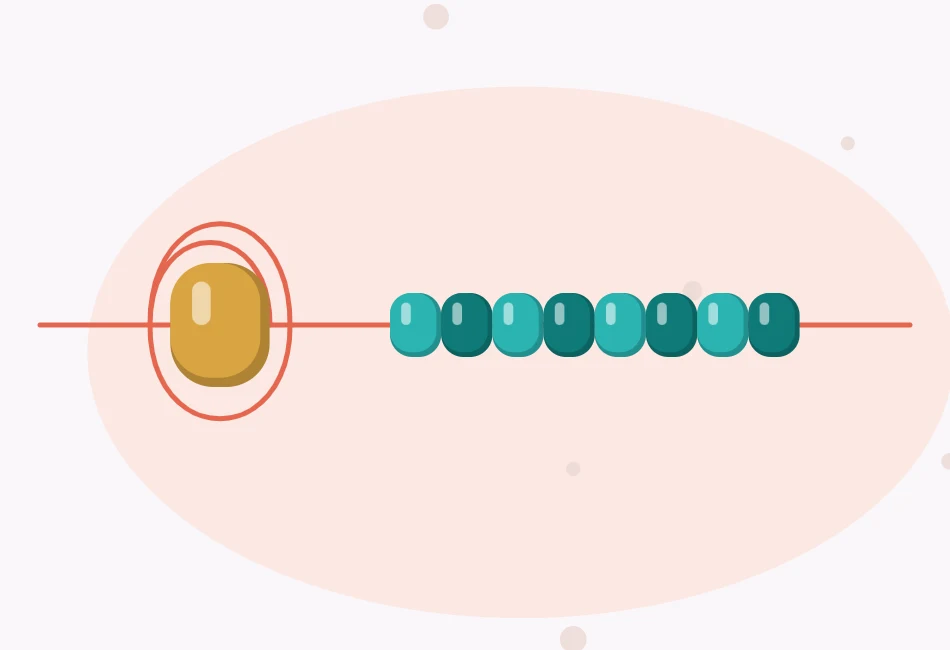 Illustration of a stop bead at the end of a thread, with the thread looped through it twice and a row of beads following it